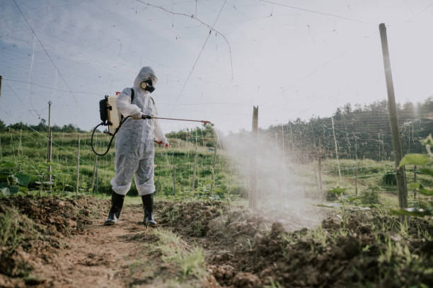 Best Mosquito Control Services  in Kings Grant, NC